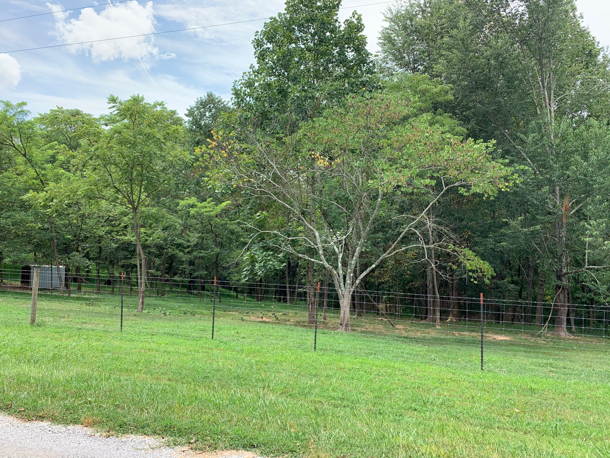 350 Sands Road Pulaski, TN 38478 - Photo 8 of 20 a view of a park