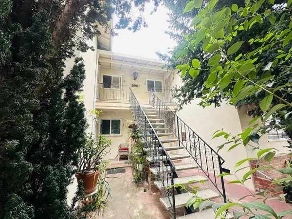a balcony with potted plants and a large tree