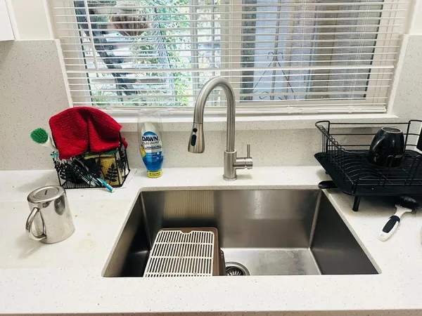 a kitchen with a sink a counter and a potted plant