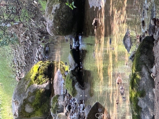 74620 Copperhead Road Bradley, CA 93426 - Photo 4 of 4 a picture of flowers