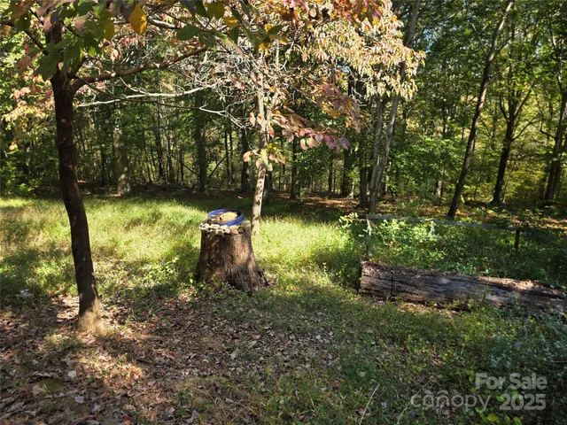 a view of a yard with large trees