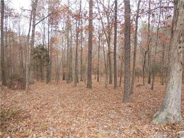 8617 Simpson Road Waxhaw, NC 28173 - Photo 15 of 16 Gallery Image 15