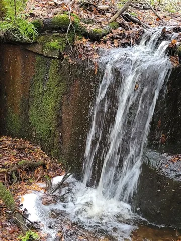 $587,000 | 14980 National Forest Road 2297, Mountain, WI 54149