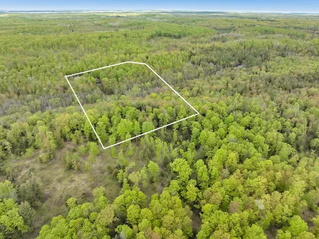 $587,000 | 14980 National Forest Road 2297, Mountain, WI 54149