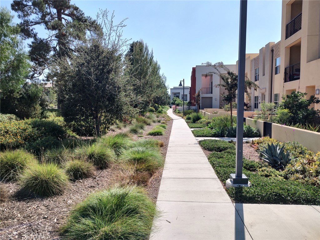 202 Paramount Irvine, CA 92618 - Photo 3 of 24