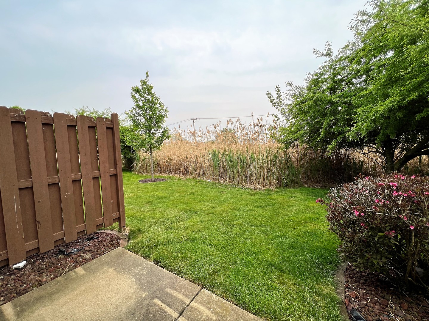 8563 Scheer Drive, Unit 8563 Tinley Park, IL 60487 - Photo 27 of 30 a view of a backyard with potted plants and large tree