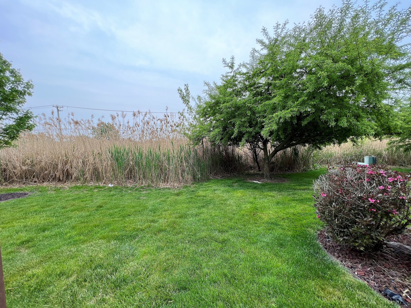 8563 Scheer Drive, Unit 8563 Tinley Park, IL 60487 - Photo 28 of 30 a view of a backyard