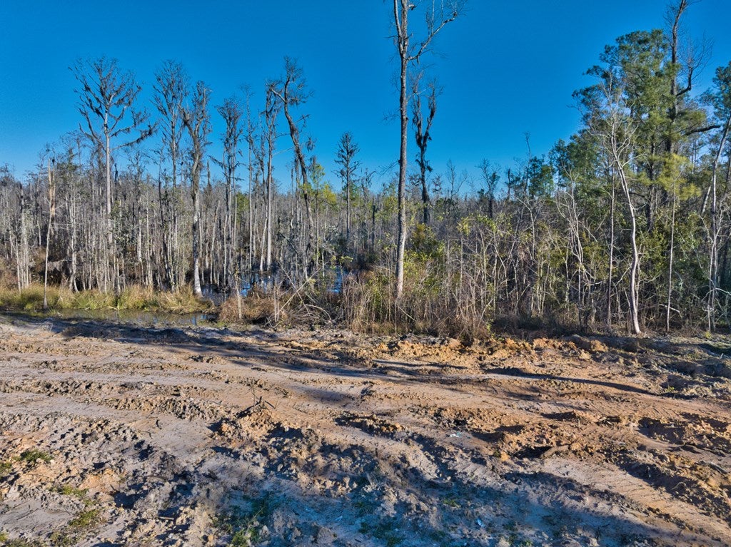 4249 Johnson Road South Valdosta, GA 31601 - Photo 6 of 11 Gallery Image 6