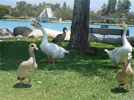 27 Greenfield Irvine, CA 92614 - Photo 20 of 21