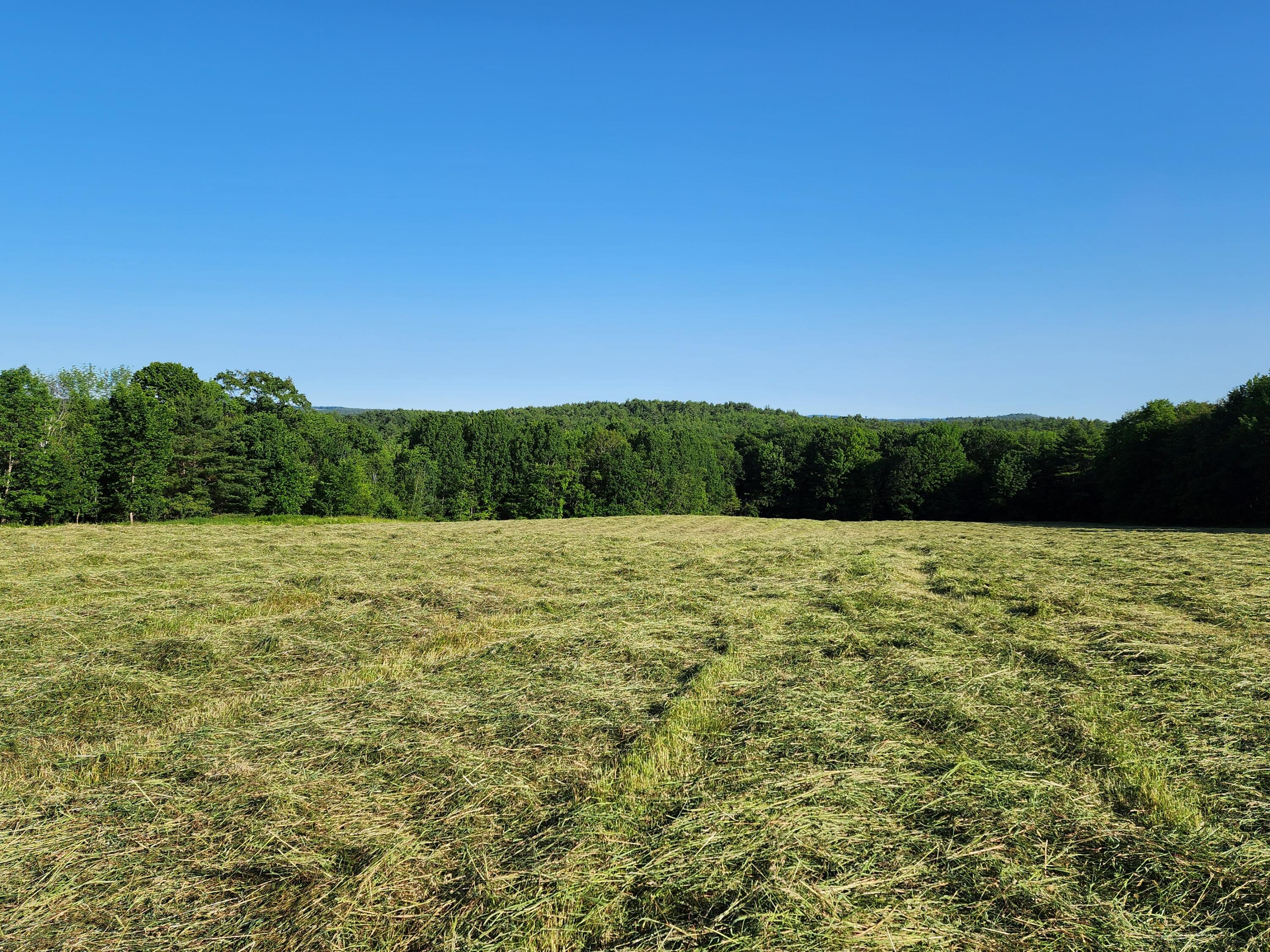 Lot 038 South Road Livermore, ME 04253 - Photo 9 of 9 20230621_175142