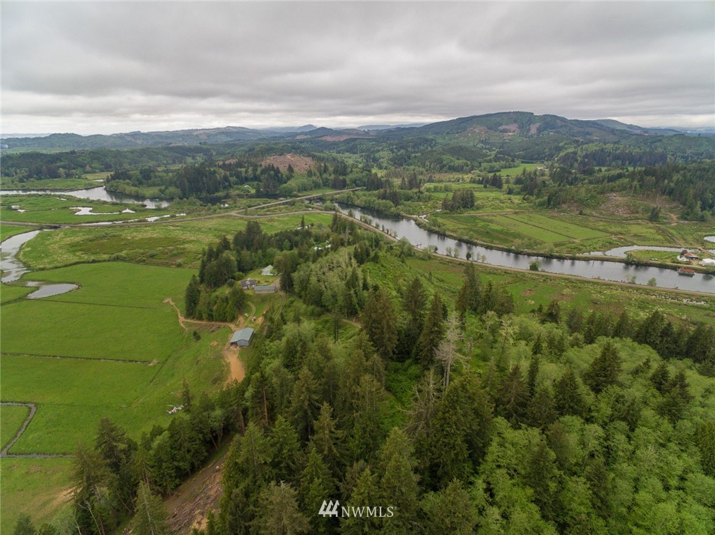 0 Rangila Road Naselle, WA 98638 - Photo 1 of 24 Gallery Image 1