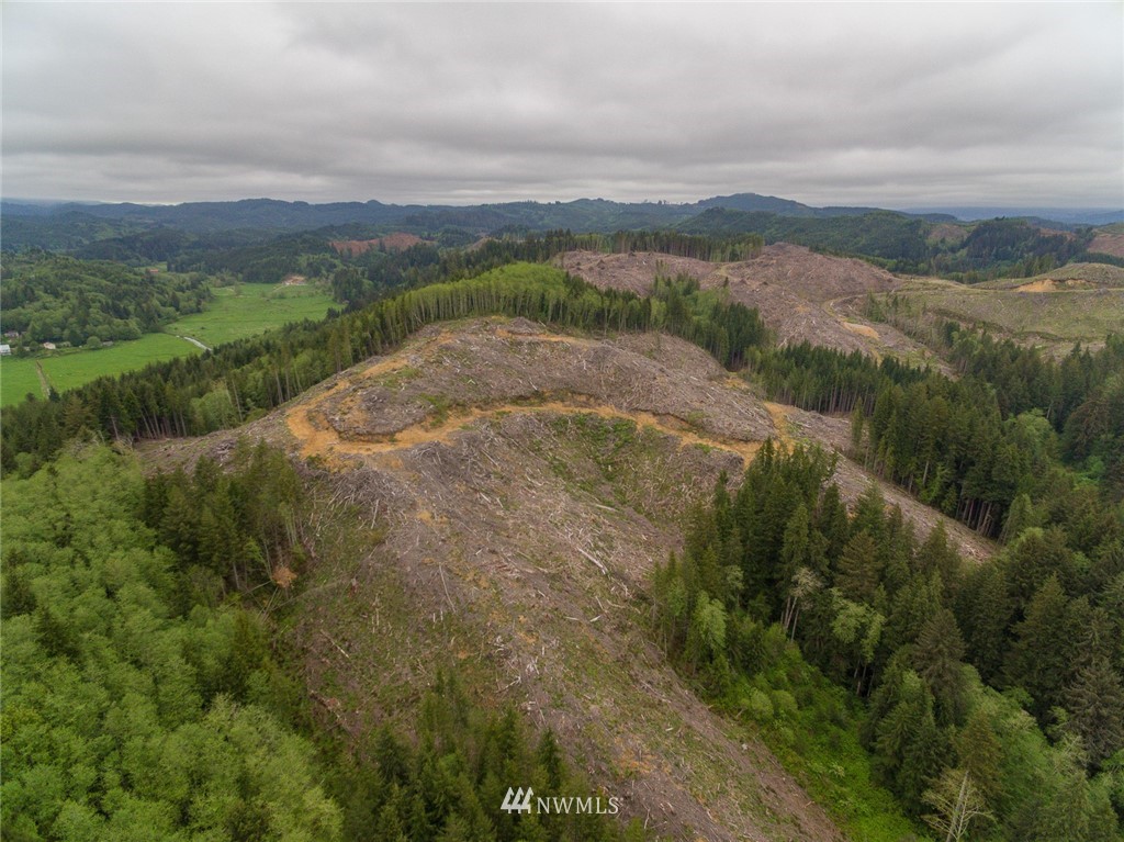 0 Rangila Road Naselle, WA 98638 - Photo 2 of 24 Gallery Image 2