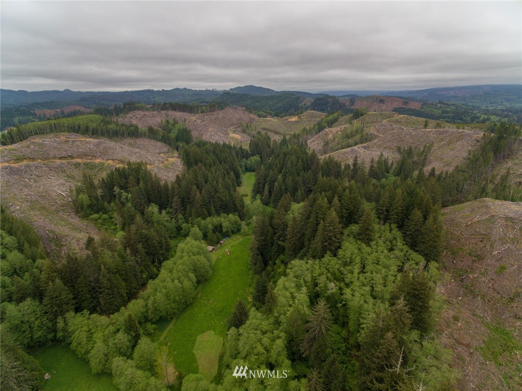 0 Rangila Road Naselle, WA 98638 - Photo 11 of 24 Gallery Image 11