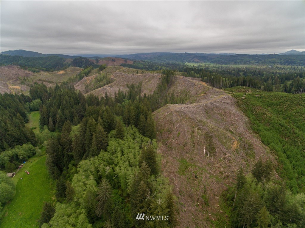 0 Rangila Road Naselle, WA 98638 - Photo 12 of 24 Gallery Image 12
