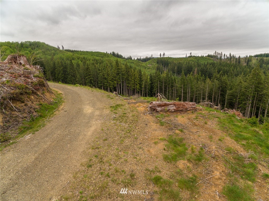 0 Rangila Road Naselle, WA 98638 - Photo 13 of 24 Gallery Image 13