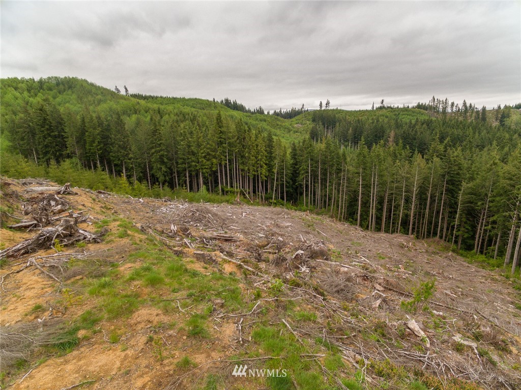 0 Rangila Road Naselle, WA 98638 - Photo 14 of 24 Gallery Image 14