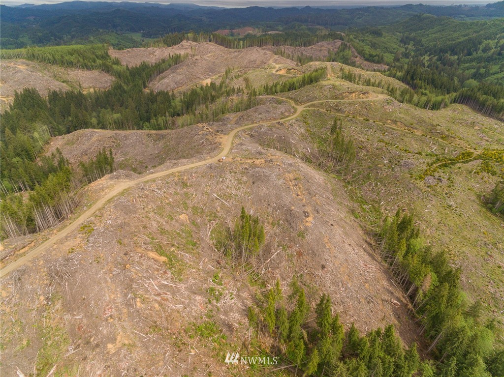 0 Rangila Road Naselle, WA 98638 - Photo 15 of 24 Gallery Image 15
