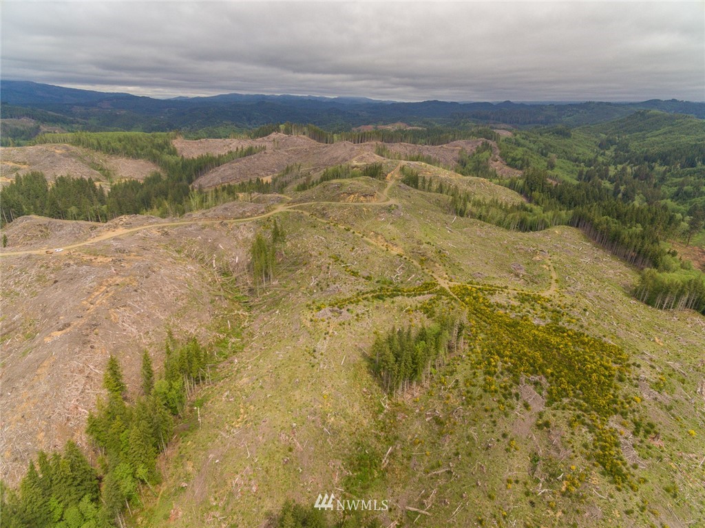 0 Rangila Road Naselle, WA 98638 - Photo 16 of 24 Gallery Image 16
