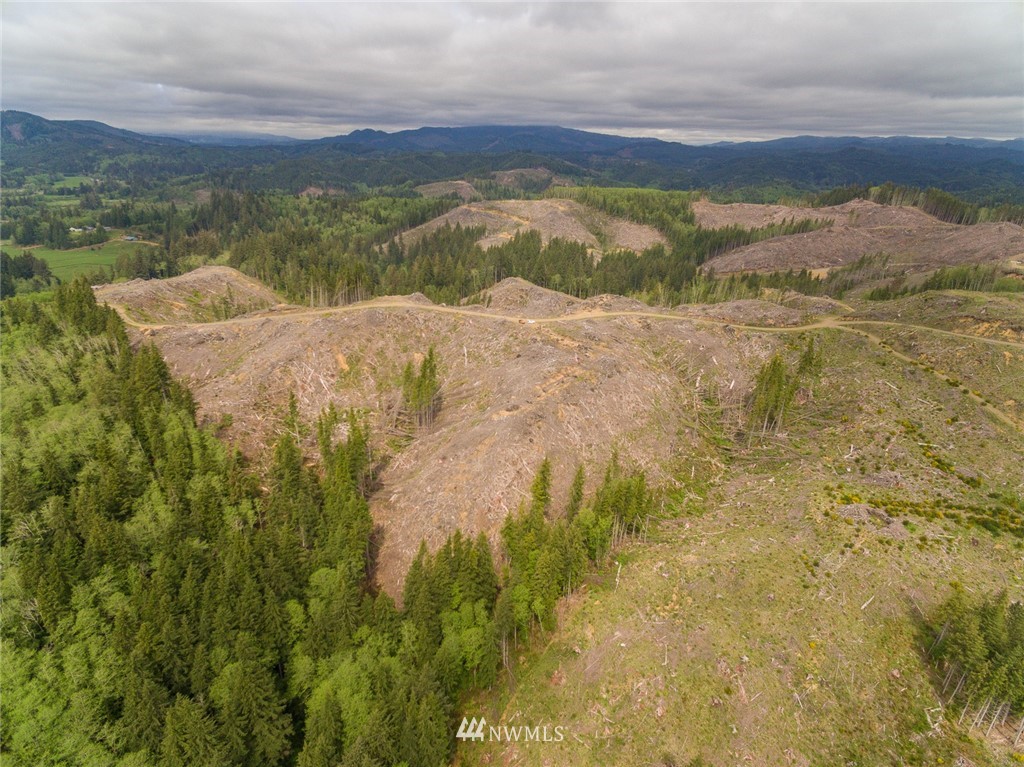 0 Rangila Road Naselle, WA 98638 - Photo 17 of 24 Gallery Image 17