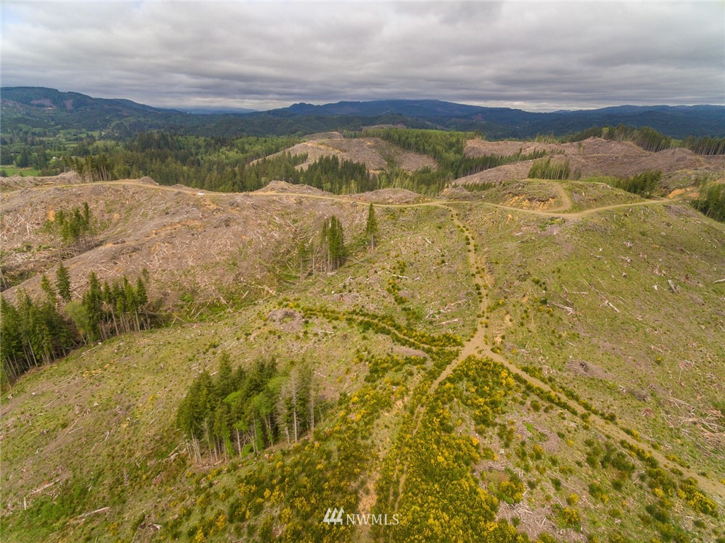 0 Rangila Road Naselle, WA 98638 - Photo 18 of 24 Gallery Image 18