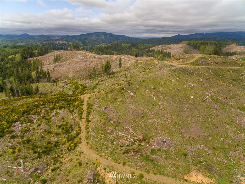0 Rangila Road Naselle, WA 98638 - Photo 19 of 24 Gallery Image 19