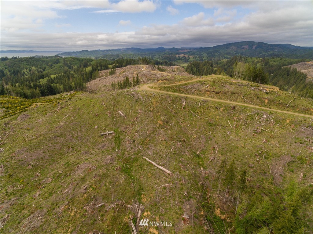 0 Rangila Road Naselle, WA 98638 - Photo 20 of 24 Gallery Image 20