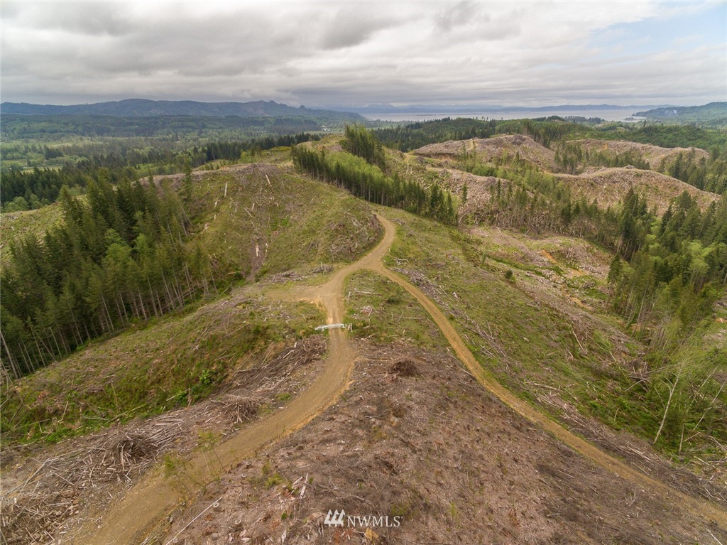 0 Rangila Road Naselle, WA 98638 - Photo 3 of 24 Gallery Image 3