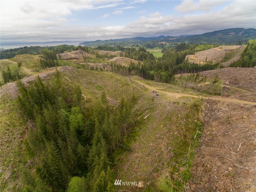 0 Rangila Road Naselle, WA 98638 - Photo 21 of 24 Gallery Image 21