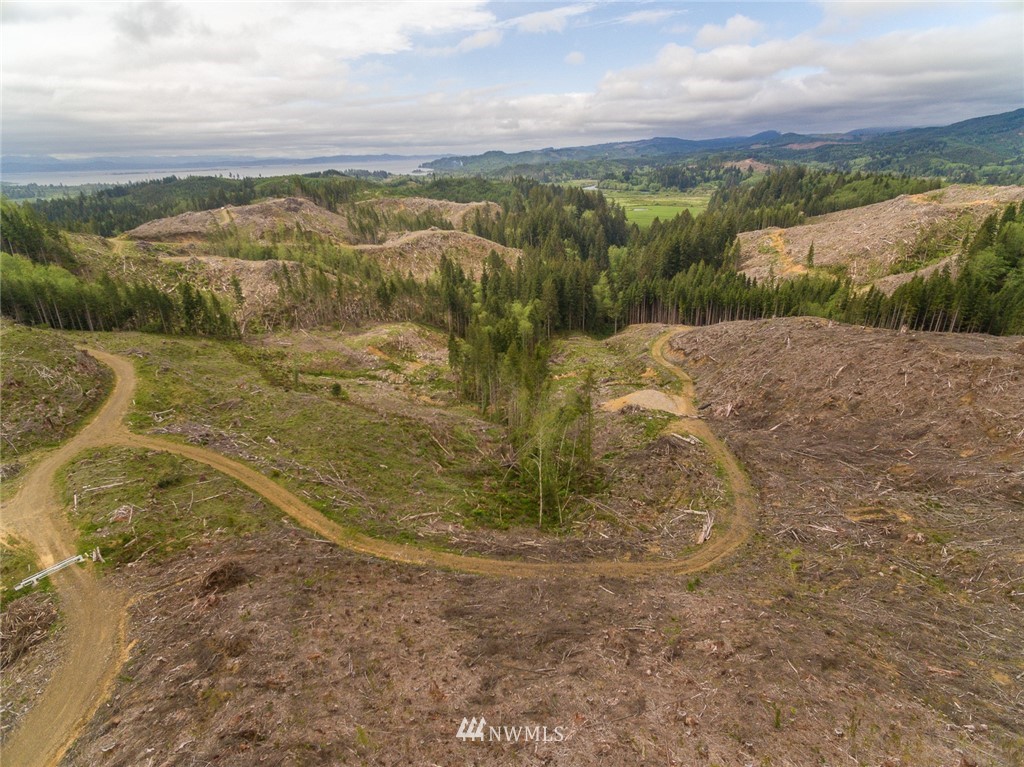 0 Rangila Road Naselle, WA 98638 - Photo 22 of 24 Gallery Image 22