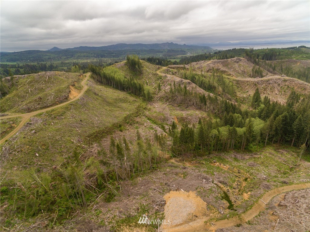 0 Rangila Road Naselle, WA 98638 - Photo 23 of 24 Gallery Image 23