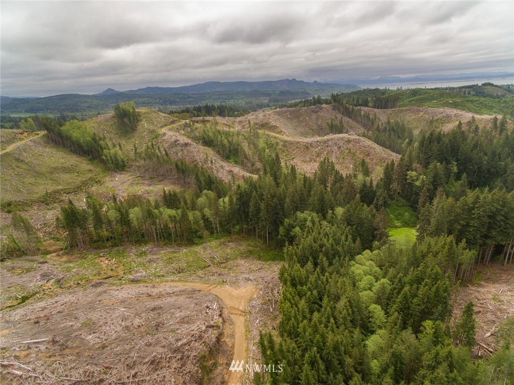 0 Rangila Road Naselle, WA 98638 - Photo 24 of 24 Gallery Image 24