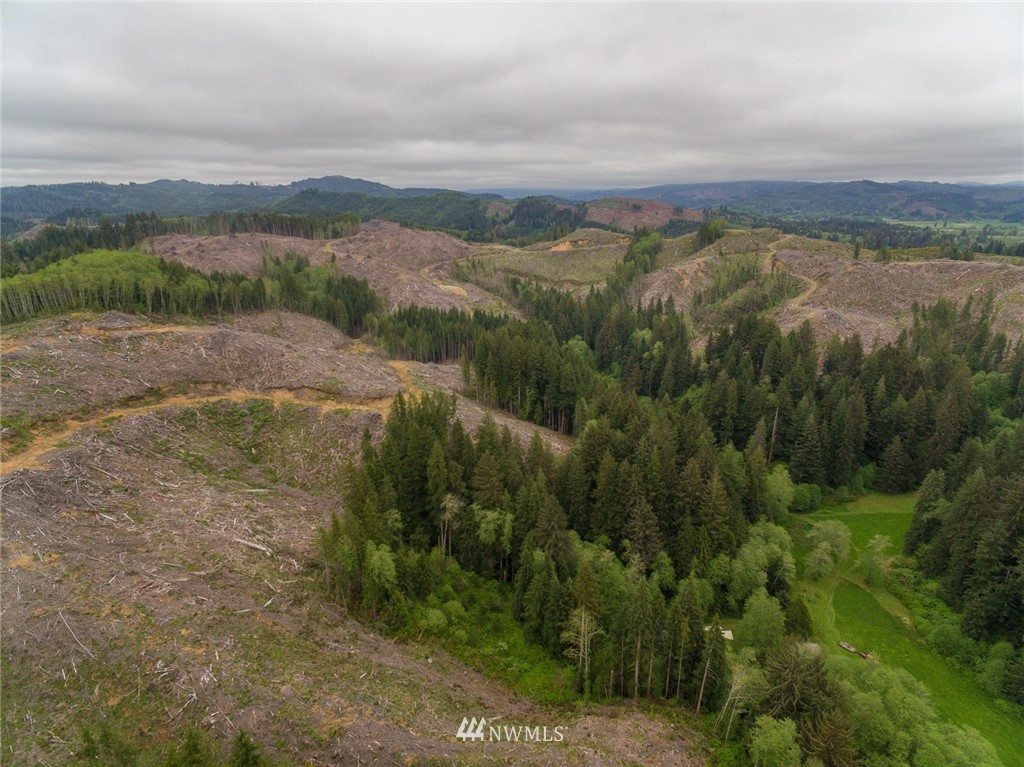 0 Rangila Road Naselle, WA 98638 - Photo 4 of 24 Gallery Image 4