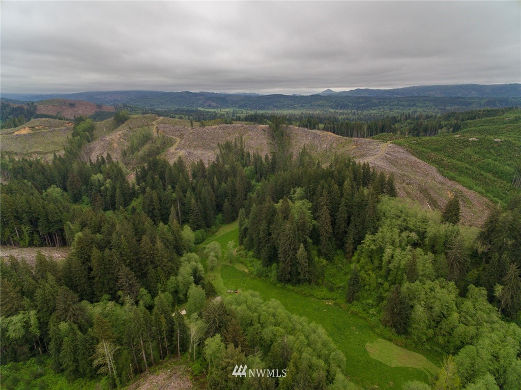 0 Rangila Road Naselle, WA 98638 - Photo 5 of 24 Gallery Image 5