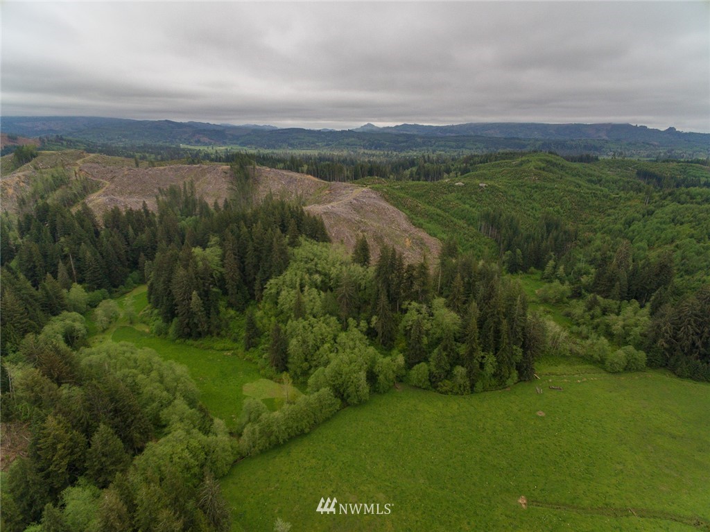 0 Rangila Road Naselle, WA 98638 - Photo 6 of 24 Gallery Image 6