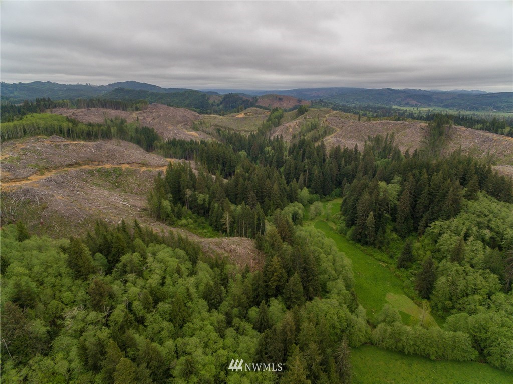 0 Rangila Road Naselle, WA 98638 - Photo 7 of 24 Gallery Image 7