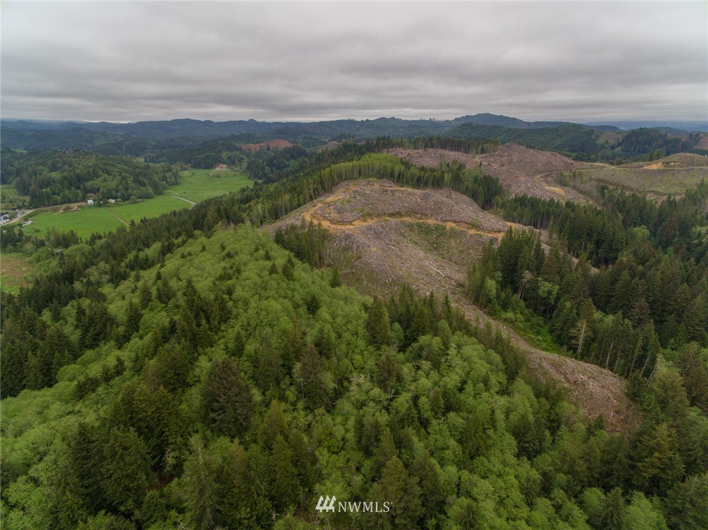 0 Rangila Road Naselle, WA 98638 - Photo 8 of 24 Gallery Image 8