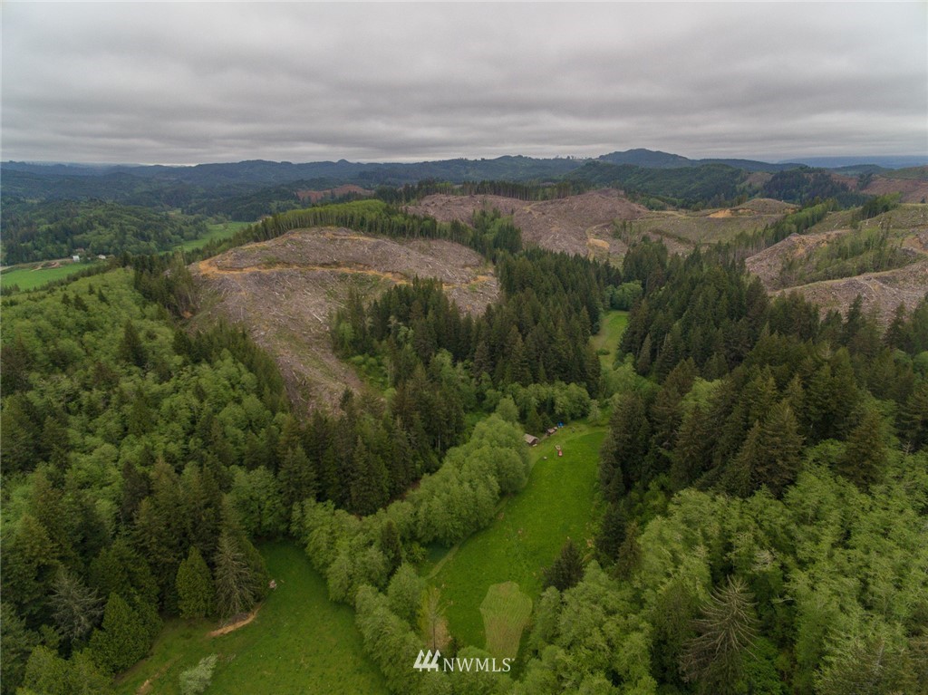 0 Rangila Road Naselle, WA 98638 - Photo 10 of 24 Gallery Image 10