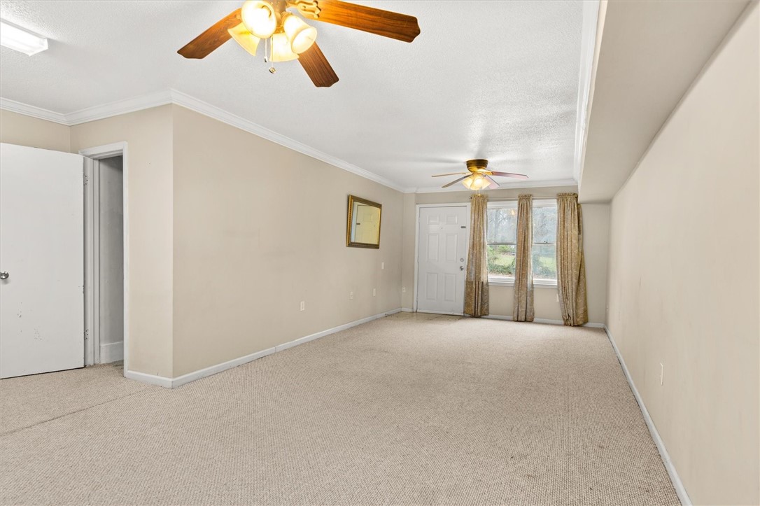 1124 Springdale Road Anderson, SC 29621 - Photo 29 of 43 Living room walkout basement, large closet also.
