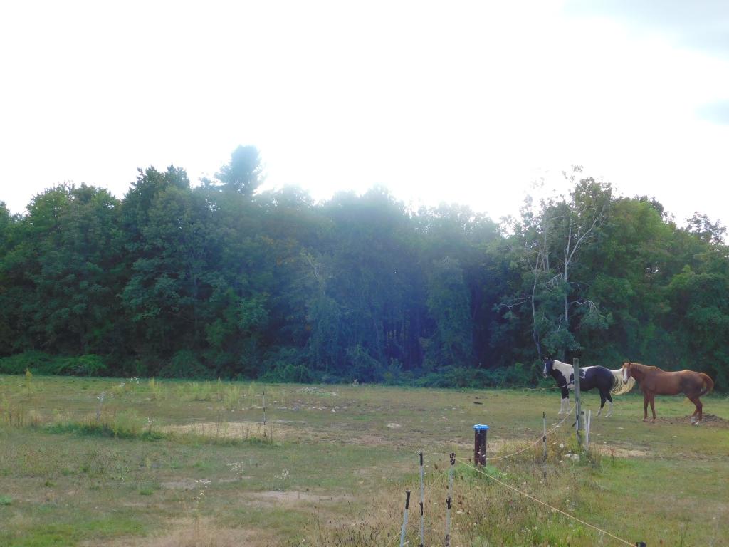 188 Mansion Road Dunbarton, NH 03046 - Photo 11 of 23 Gallery Image 11