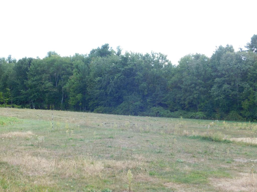 188 Mansion Road Dunbarton, NH 03046 - Photo 12 of 23 Gallery Image 12