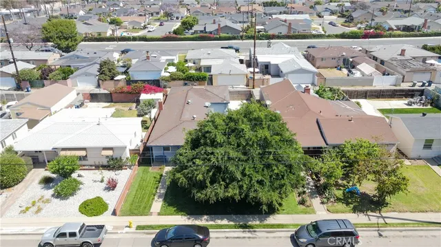 a view of a backyard with potted plants and large tree