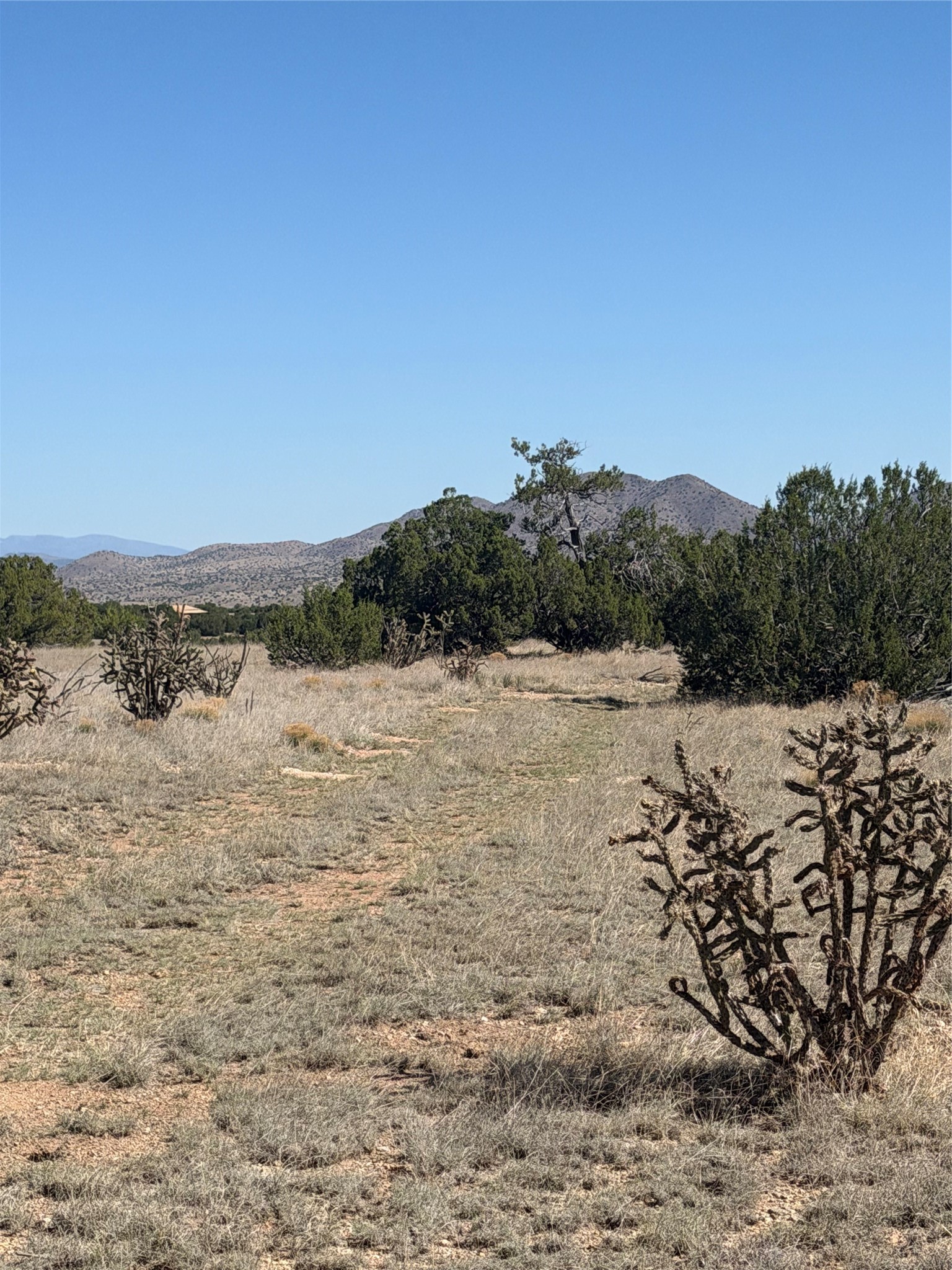 7 C Rancho De Shama, Unit B Cerrillos, NM 87010 - Photo 15 of 26
