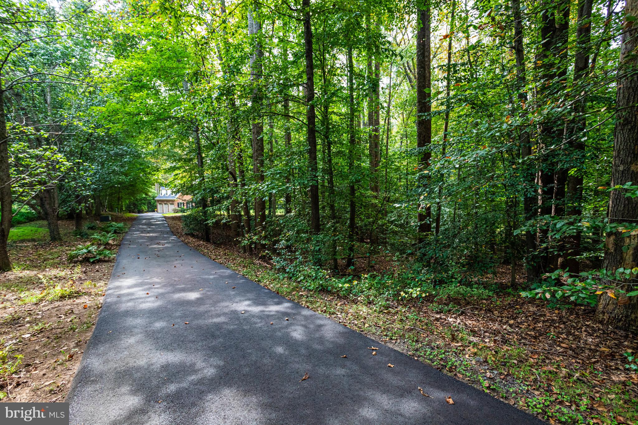 11901 Chapel Road Clifton, VA 20124 - Photo 2 of 98 A Tree-lined Driveway leads to this Beautiful Home