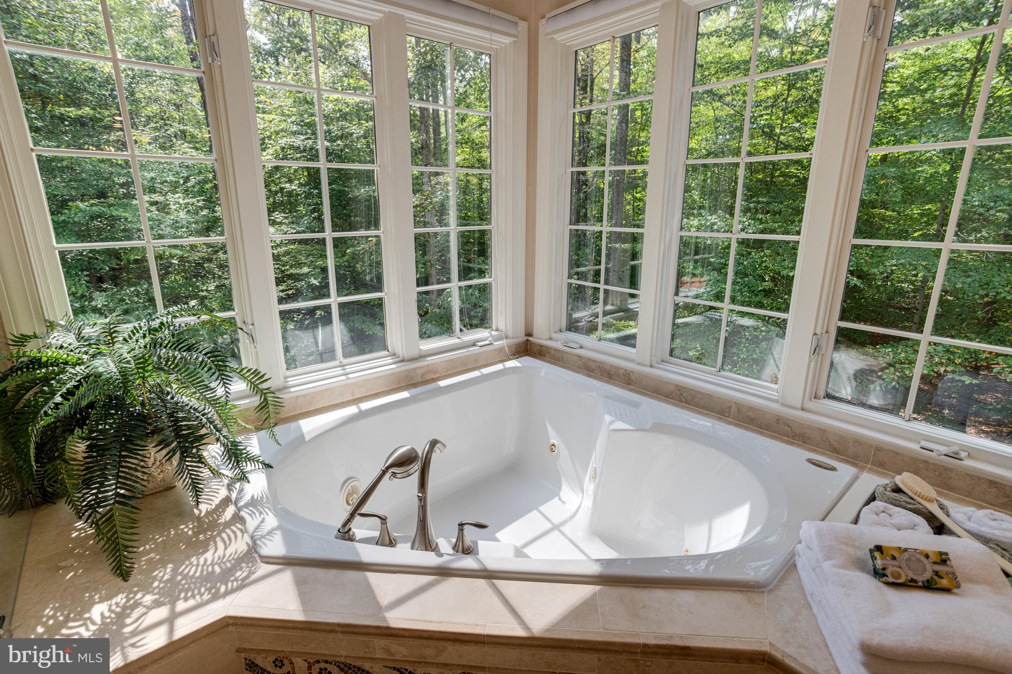 11901 Chapel Road Clifton, VA 20124 - Photo 52 of 98 Jacuzzi Jetted Whirlpool Tub - What a View!