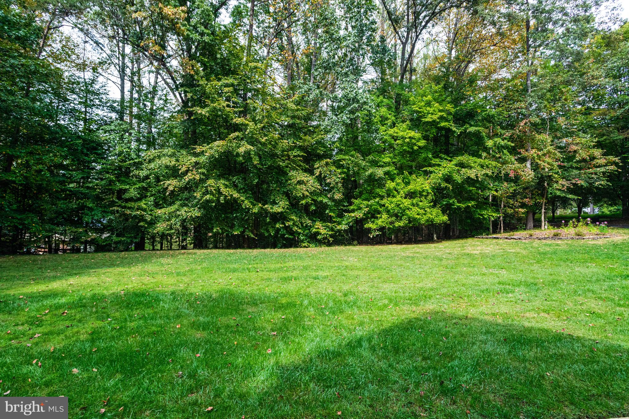 11901 Chapel Road Clifton, VA 20124 - Photo 8 of 98 View from the Front Porch