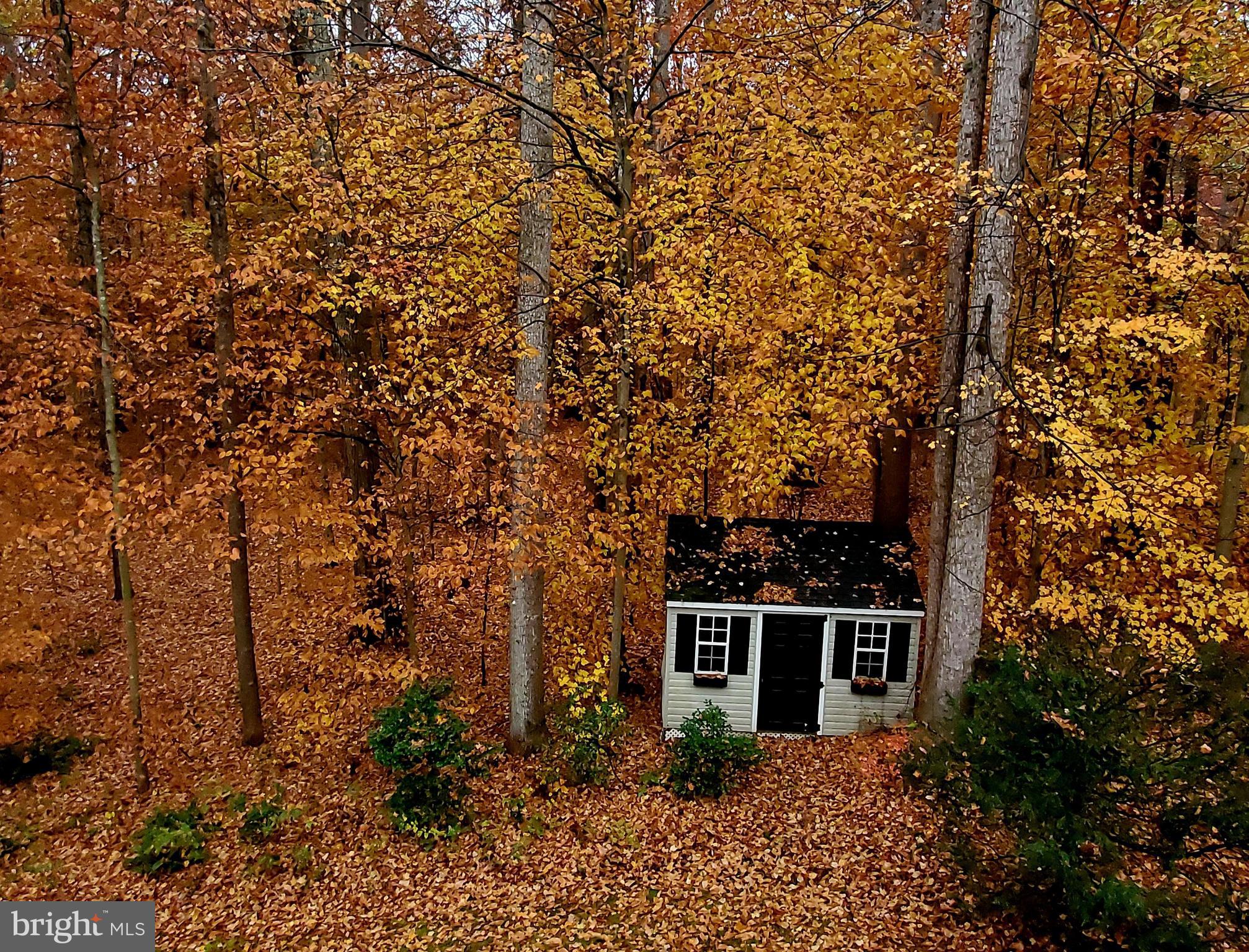 11901 Chapel Road Clifton, VA 20124 - Photo 82 of 98 Autumn Season