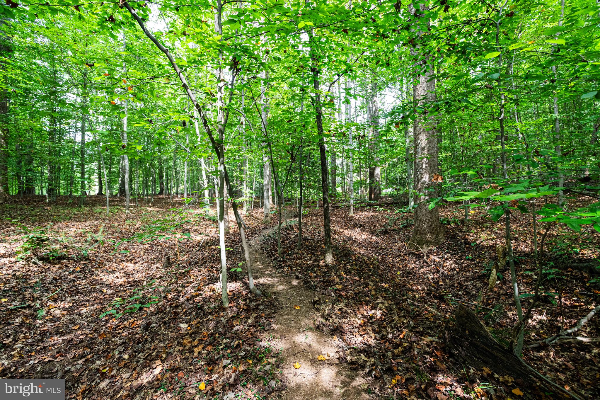 11901 Chapel Road Clifton, VA 20124 - Photo 84 of 98