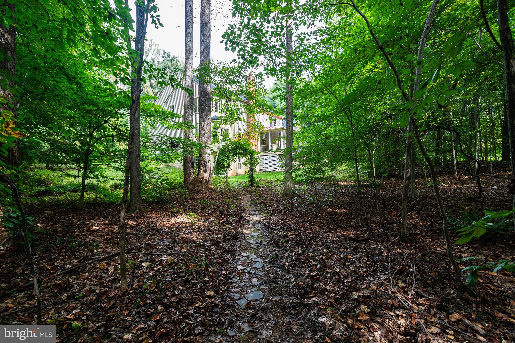 11901 Chapel Road Clifton, VA 20124 - Photo 85 of 98 Trail Leading to the Backyard
