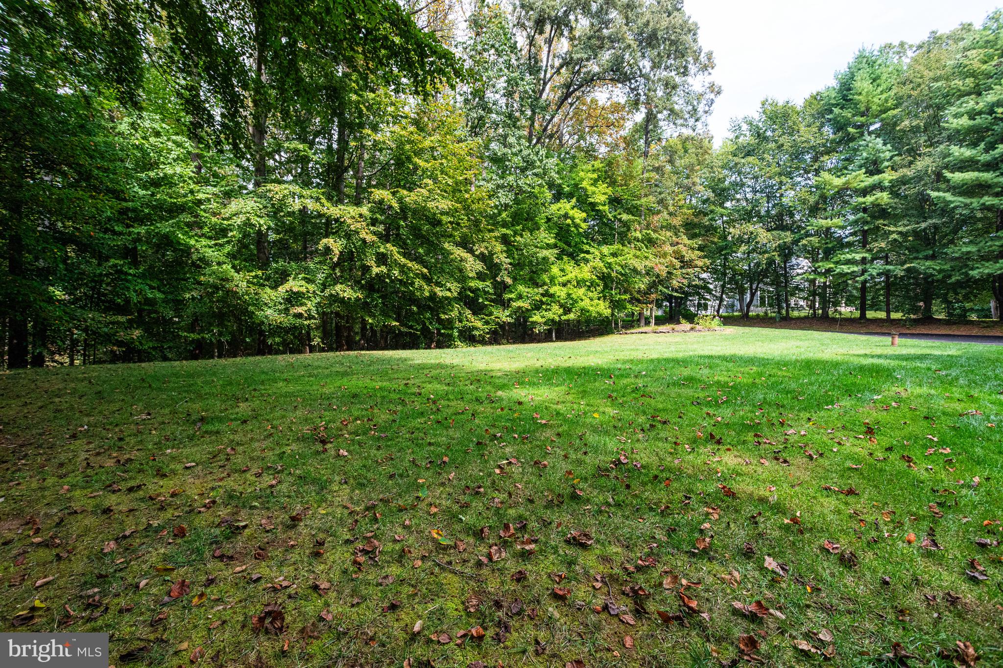 11901 Chapel Road Clifton, VA 20124 - Photo 88 of 98 Large Level Front Yard - Soccer Anyone?