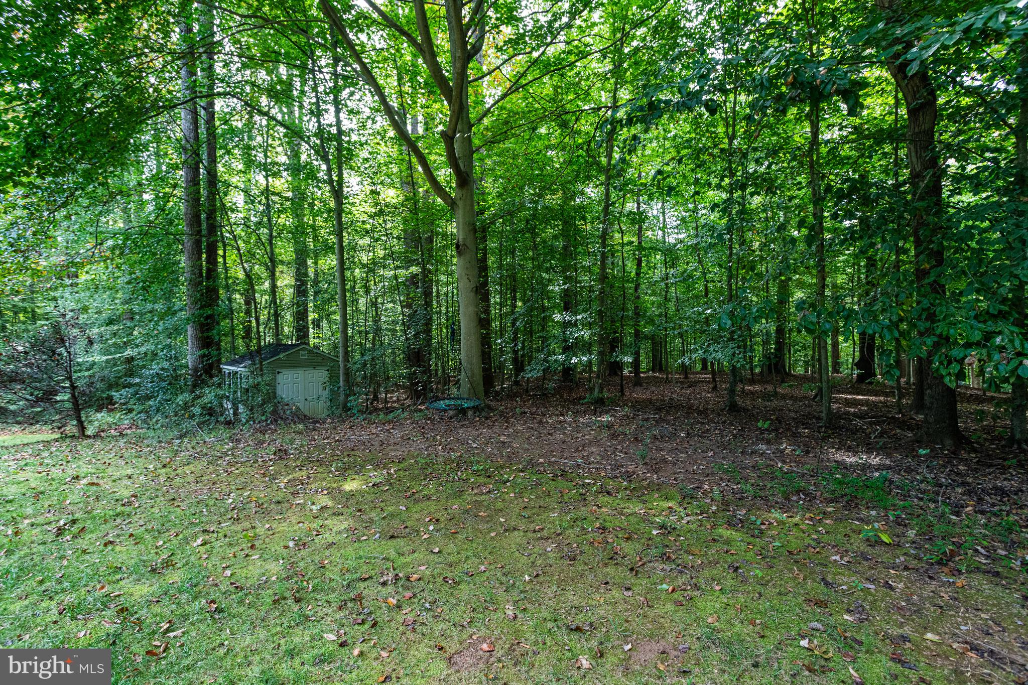 11901 Chapel Road Clifton, VA 20124 - Photo 89 of 98 Side Yard